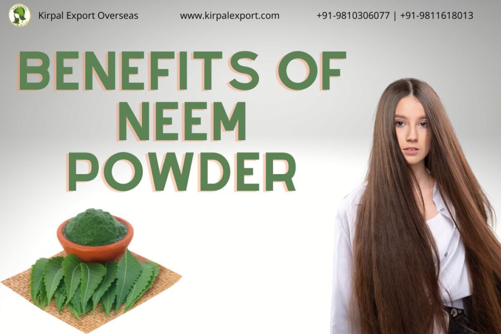 Neem Powder